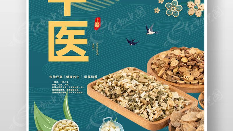 中医康复理疗师证：考取之路与职业前景