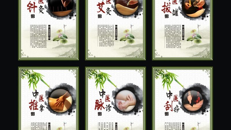 商用中药调理机：揭秘其型号与报价背后的秘密